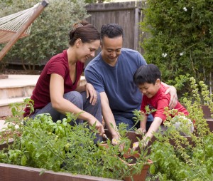 naturemill gardenfamily 300x254 Homeschooling for Excellence: What is Core Phase?